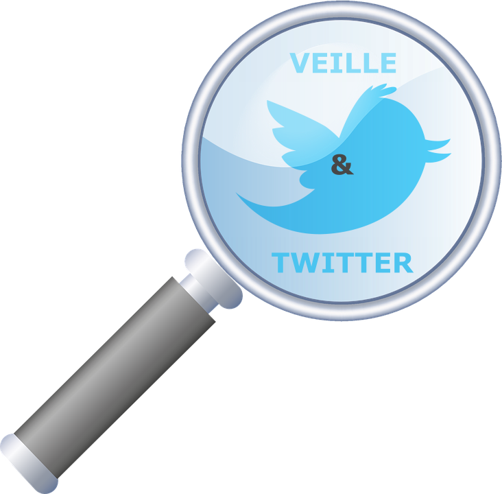 Logo Mettre en place et superviser une veille avec Twitter