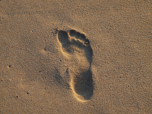 Logo Que sont les traces numériques ?