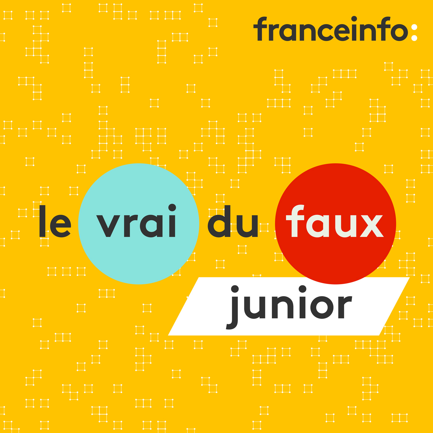 Logo Le Vrai du Faux Junior
